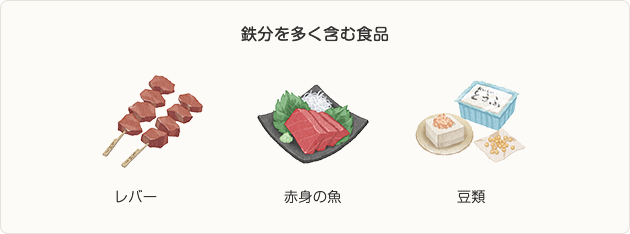 鉄分を多く含む食品 レバー 赤身の魚 卵 豆類