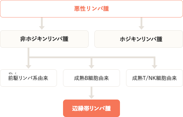 辺縁帯リンパ腫の分類