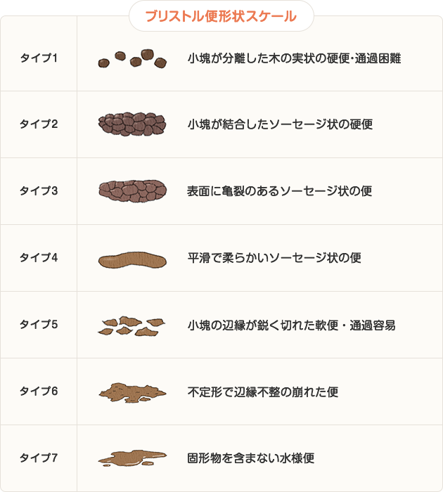 ブリストル便形状スケール タイプ1 小塊が分離した木の実状の硬便・通過困難  タイプ2 小塊が結合したソーセージ状の硬便 タイプ3　表面に亀裂のあるソーセージ状の便 タイプ4 平滑で柔らかいソーセージ状の便 タイプ5 小塊の辺縁が鋭く切れた軟便・通過容易 タイプ6 不定形で辺縁不整の崩れた便 タイプ7 固形物を含まない水様便