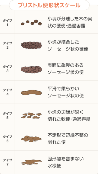 ブリストル便形状スケール タイプ1 小塊が分離した木の実状の硬便・通過困難  タイプ2 小塊が結合したソーセージ状の硬便 タイプ3　表面に亀裂のあるソーセージ状の便 タイプ4 平滑で柔らかいソーセージ状の便 タイプ5 小塊の辺縁が鋭く切れた軟便・通過容易 タイプ6 不定形で辺縁不整の崩れた便 タイプ7 固形物を含まない水様便